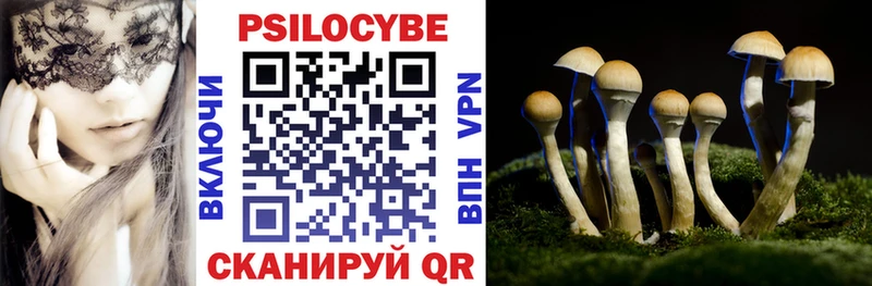 Псилоцибиновые грибы MAGIC MUSHROOMS  omg онион  Ачхой-Мартан 
