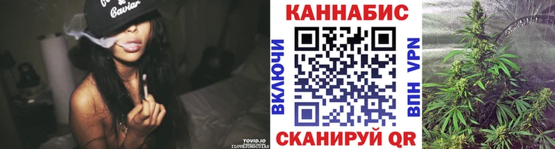 Канабис планчик Ачхой-Мартан